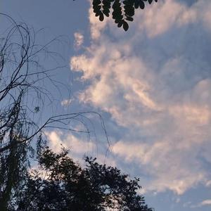 男人插女人屁眼视频免费
