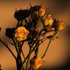 男人插女人屁眼视频免费
