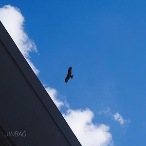 男人插女人屁眼视频免费
